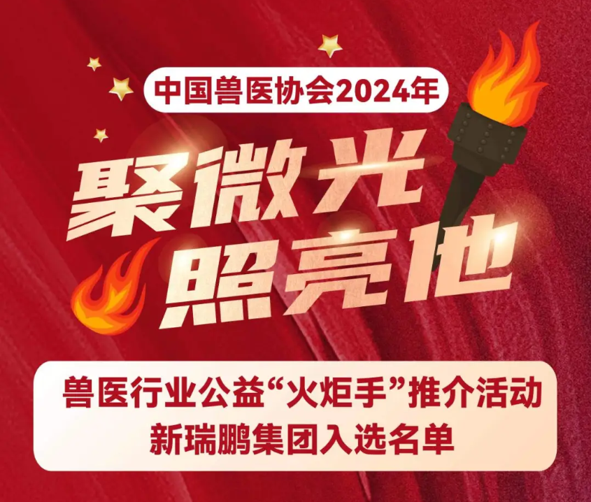 凯发k8国际首页登录旗下多个单位和个人成功入选行业公益“火炬手”，助力行业健康发展